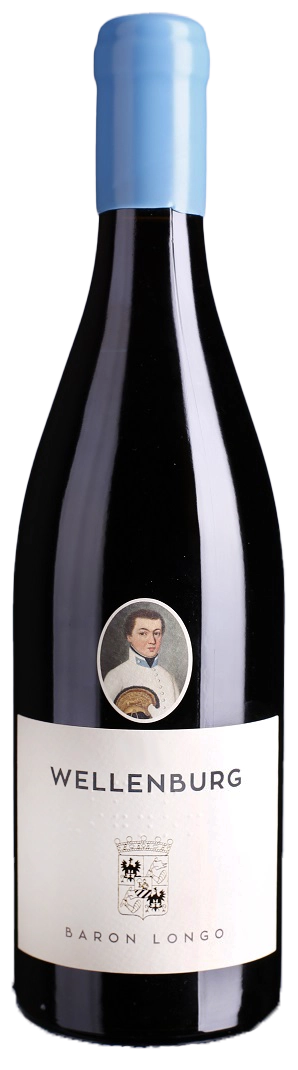 Cabernet Sauvignon DOC Wellenburg BIO