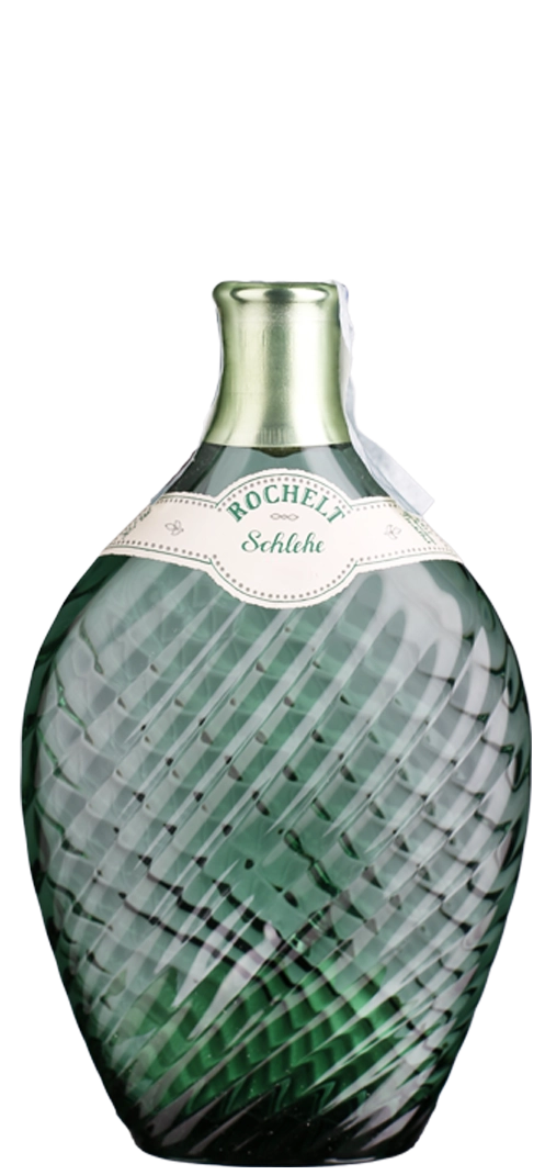 Schlehen 2011
