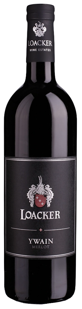 Merlot Ywain IGT BIO