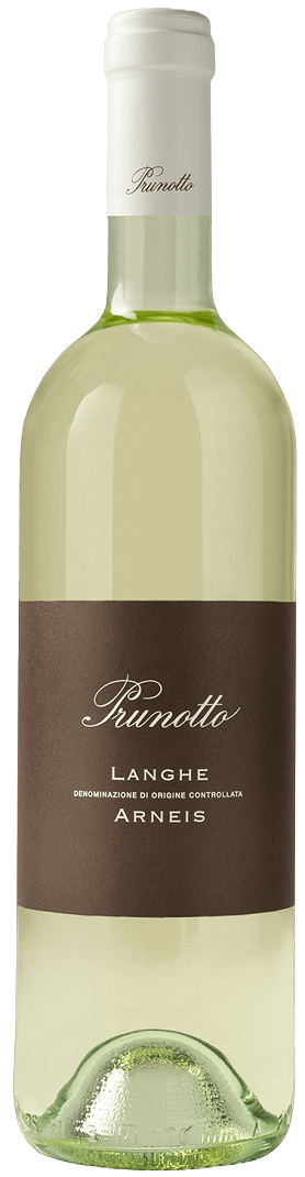 Langhe Arneis DOCG Arveja