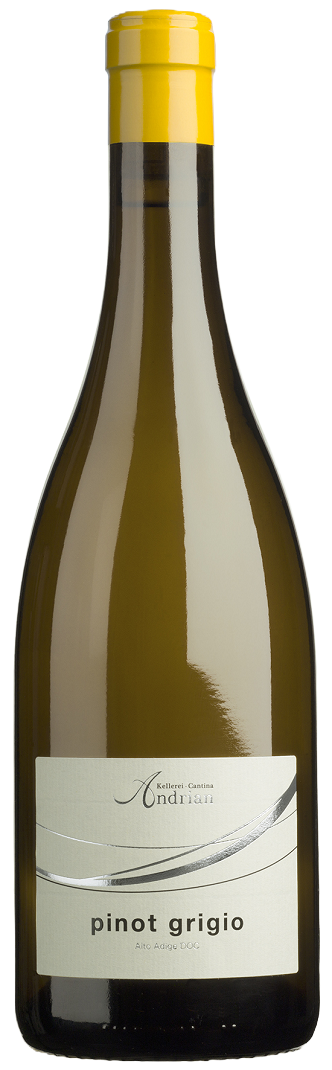 Pinot Grigio DOC