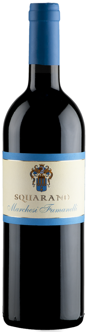 Valpolicella Classico Superiore DOC Squarano Appassimento