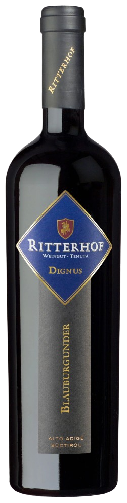 Blauburgunder DOP Dignus