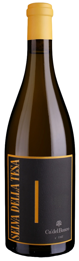 Chardonnay "Selva della Tesa"