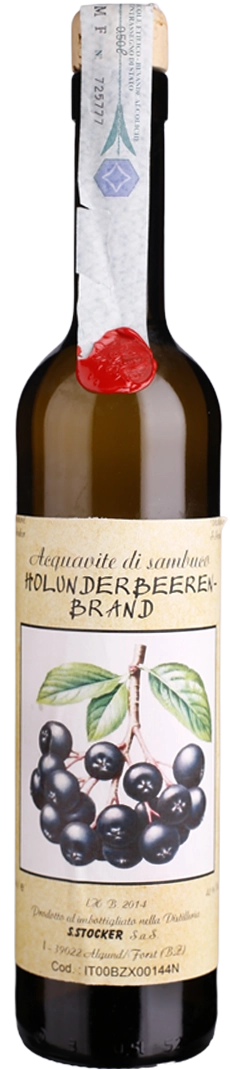 Holunder