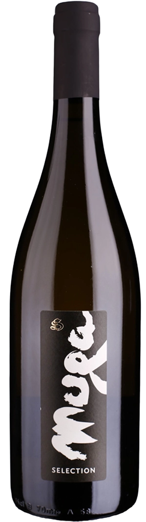Grüner Veltliner IGT Muga