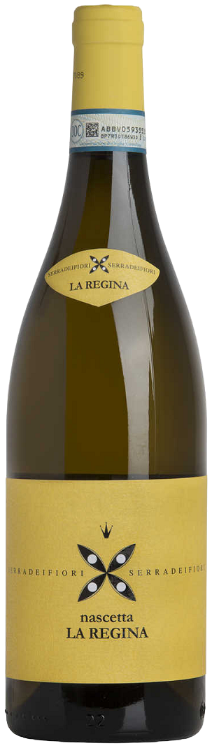 Langhe Bianco DOC La Regina Nascetta