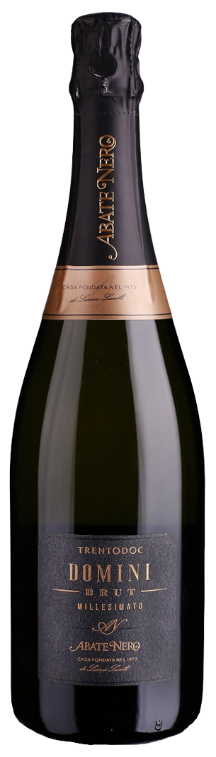 Brut Trento DOC Domini