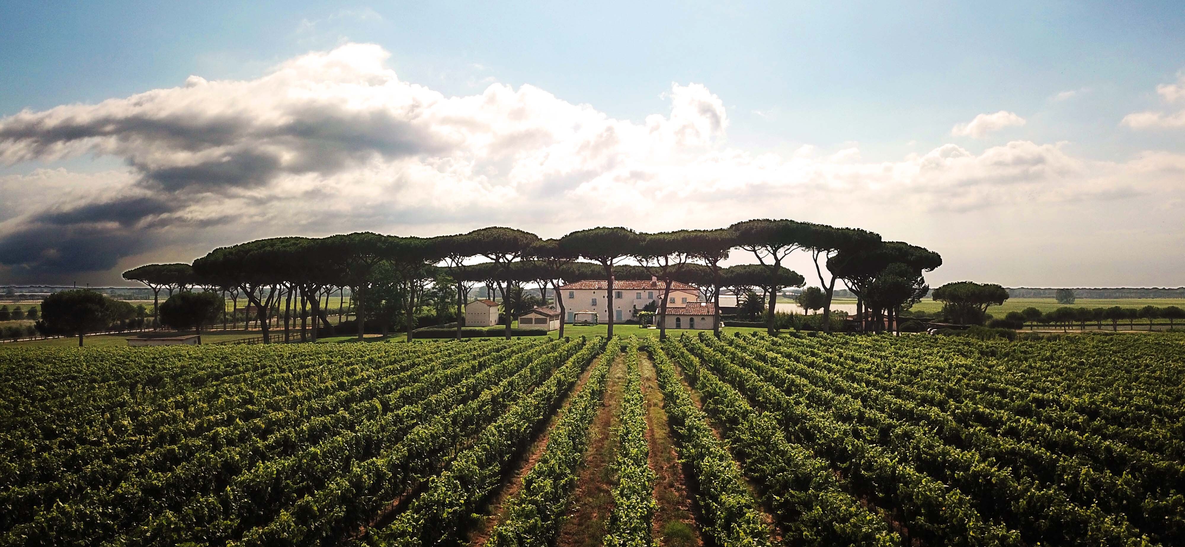 Guado al Tasso – Matarocchio, Bolgheri Rosso & Cont’Ugo