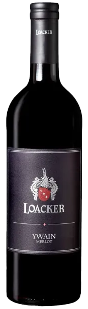 Merlot Ywain IGT BIO