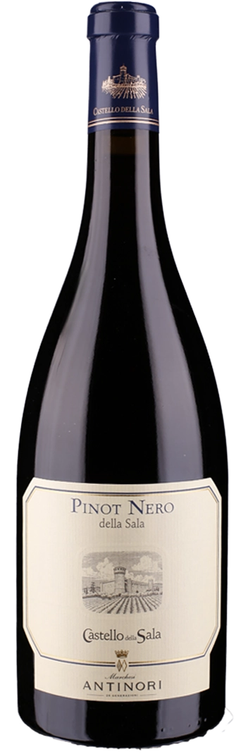 Pinot Nero della Sala