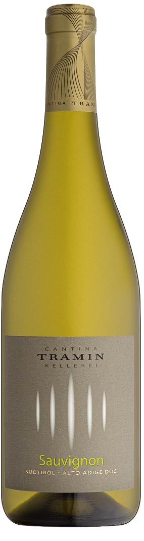 Sauvignon DOC